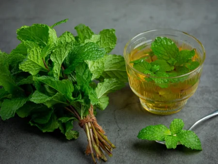 Mint tea: benefits, contraindications, and effects on the heart