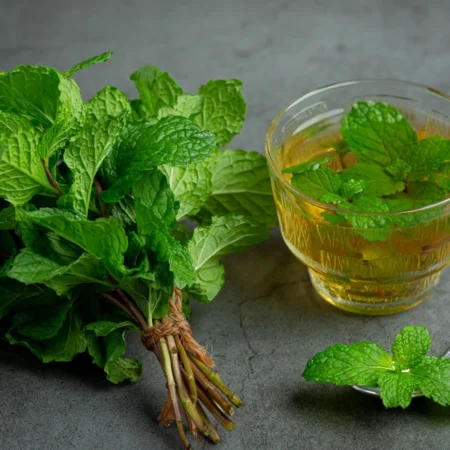 Mint tea: benefits, contraindications, and effects on the heart