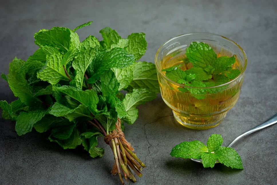 Mint tea